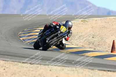 media/Feb-13-2022-SoCal Trackdays (Sun) [[c9210d39ca]]/Turn 12 (1pm)/